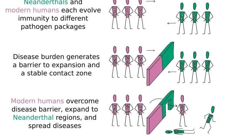 Illustration of modern humans overcoming disease burden before Neanderthals. Credit: Vivian Chen Wong